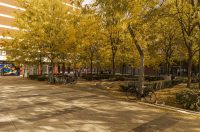 Jesenska šetnja 2025.