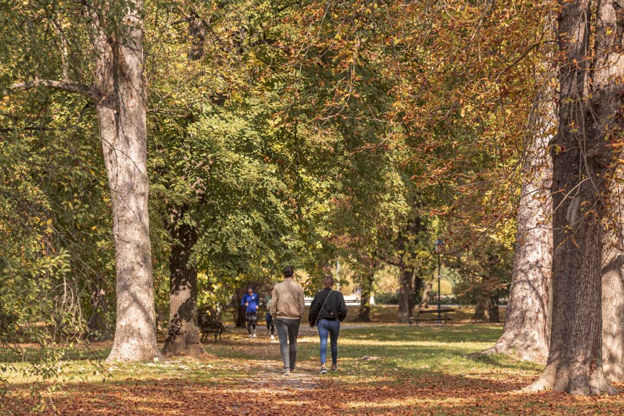 Jesenska šetnja 2025.