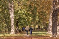 Jesenska šetnja 2025.