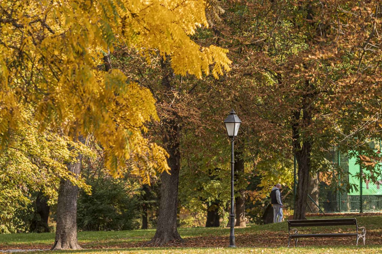 Jesenska šetnja 2025.