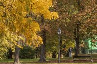 Jesenska šetnja 2025.