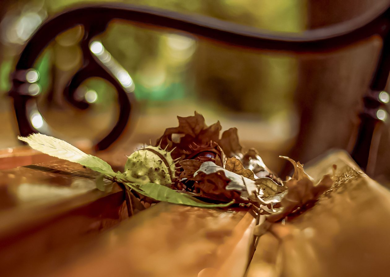 Jesenska šetnja 2025.