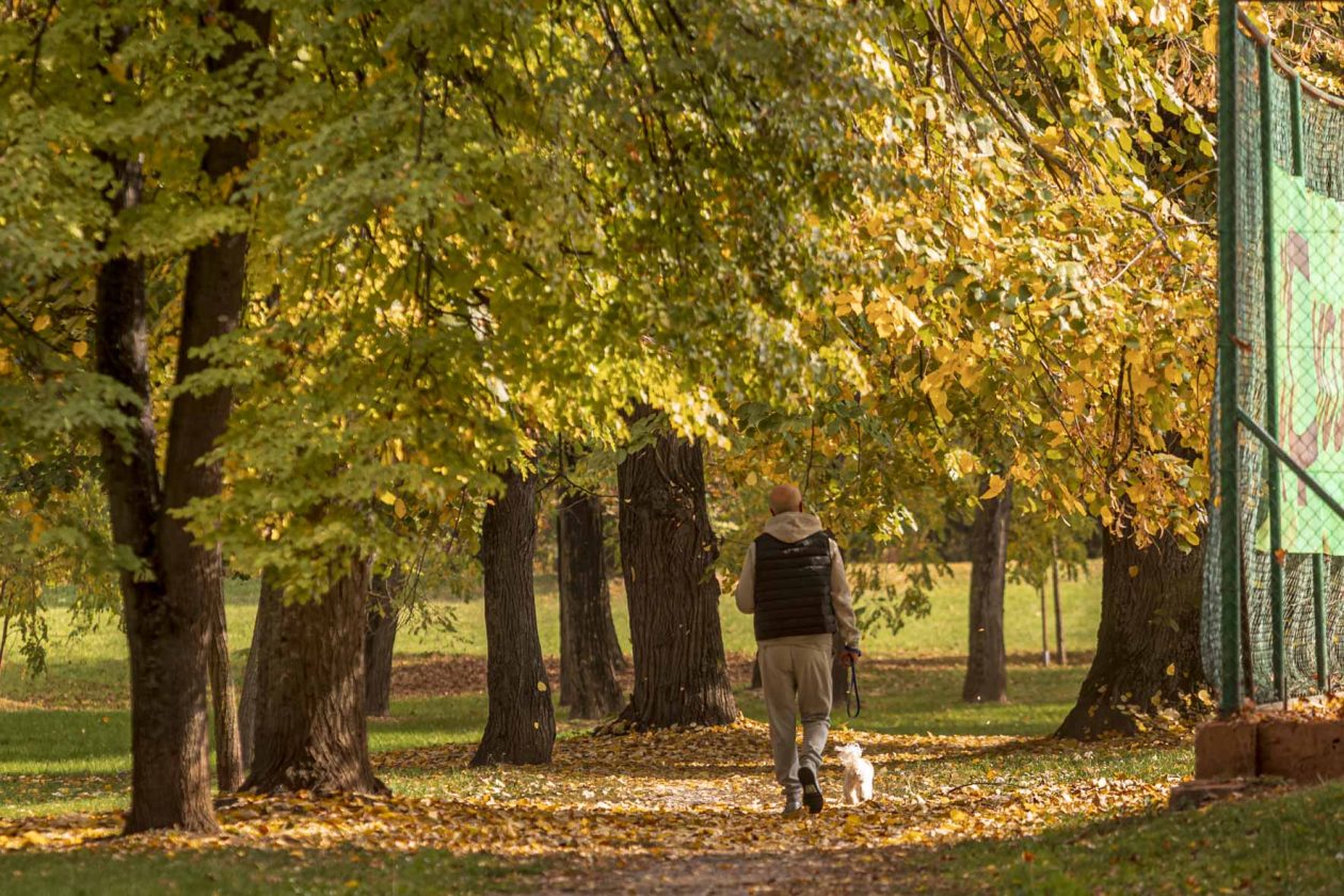 Jesenska šetnja 2025.