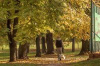 Jesenska šetnja 2025.