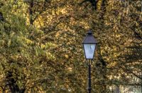 Jesenska šetnja 2025.