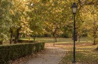 Jesenska šetnja 2025.