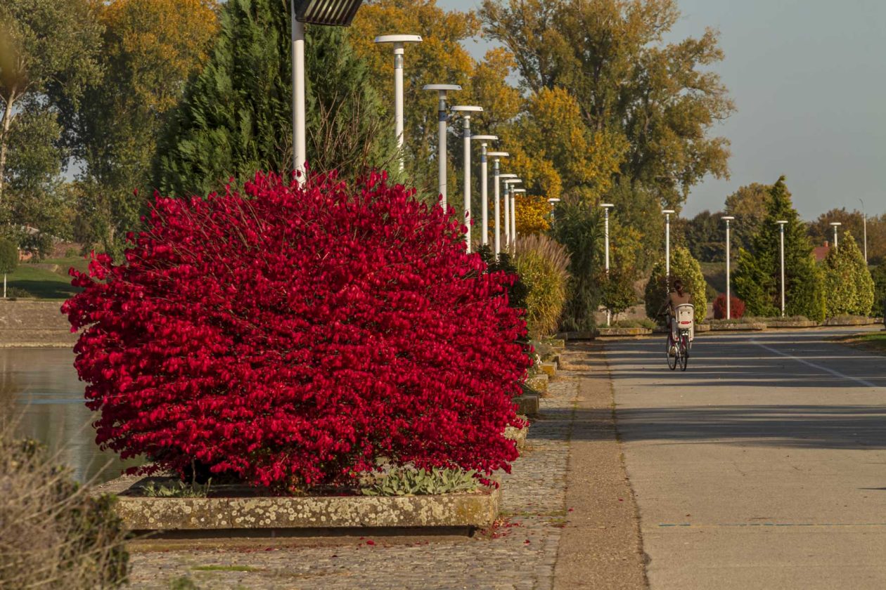 Jesenska šetnja 2025.