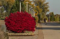 Jesenska šetnja 2025.