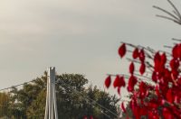 Jesenska šetnja 2025.