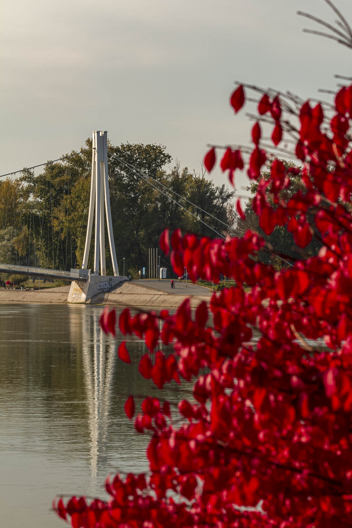 Jesenska šetnja 2025.