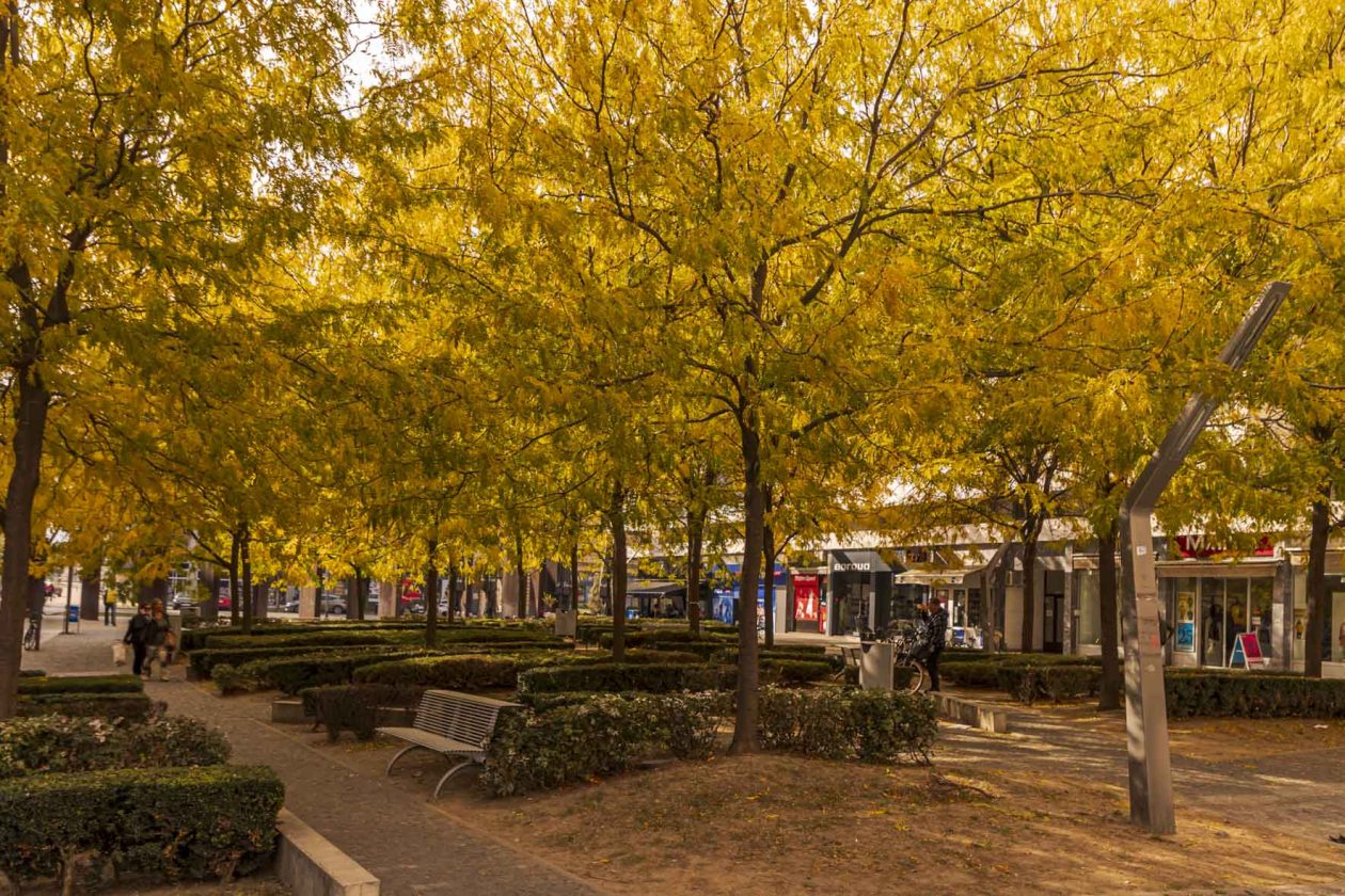 Jesenska šetnja 2025.