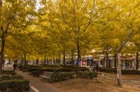 Jesenska šetnja 2025.