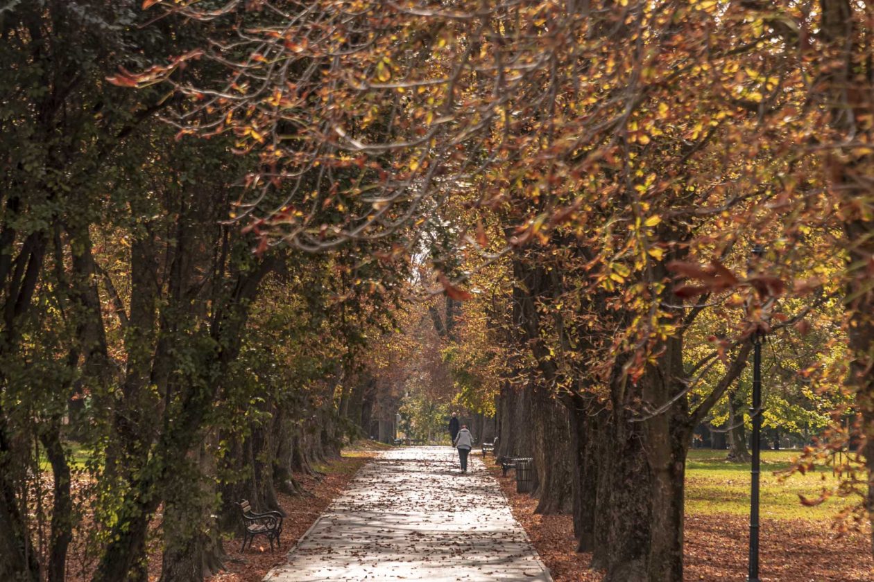 Jesenska šetnja 2025.