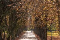 Jesenska šetnja 2025.