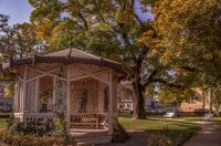 Jesenska šetnja 2025.