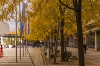 Jesenska šetnja 2025.