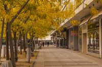 Jesenska šetnja 2025.