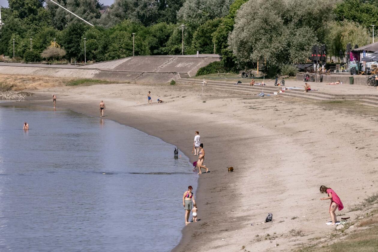 Kopika_setnja_06_2025