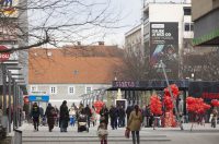 Valentinovo_14_02_2026