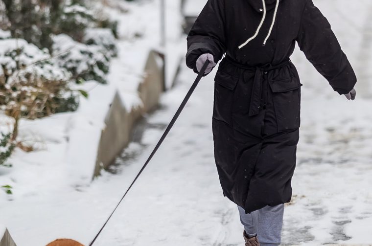 Legice_Sijecanj_2026_SiB_HR-10 Legice_Sijecanj_2026_SiB_HR-10