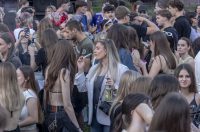 Lollipop_06_06_2026