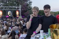Lollipop_06_06_2026