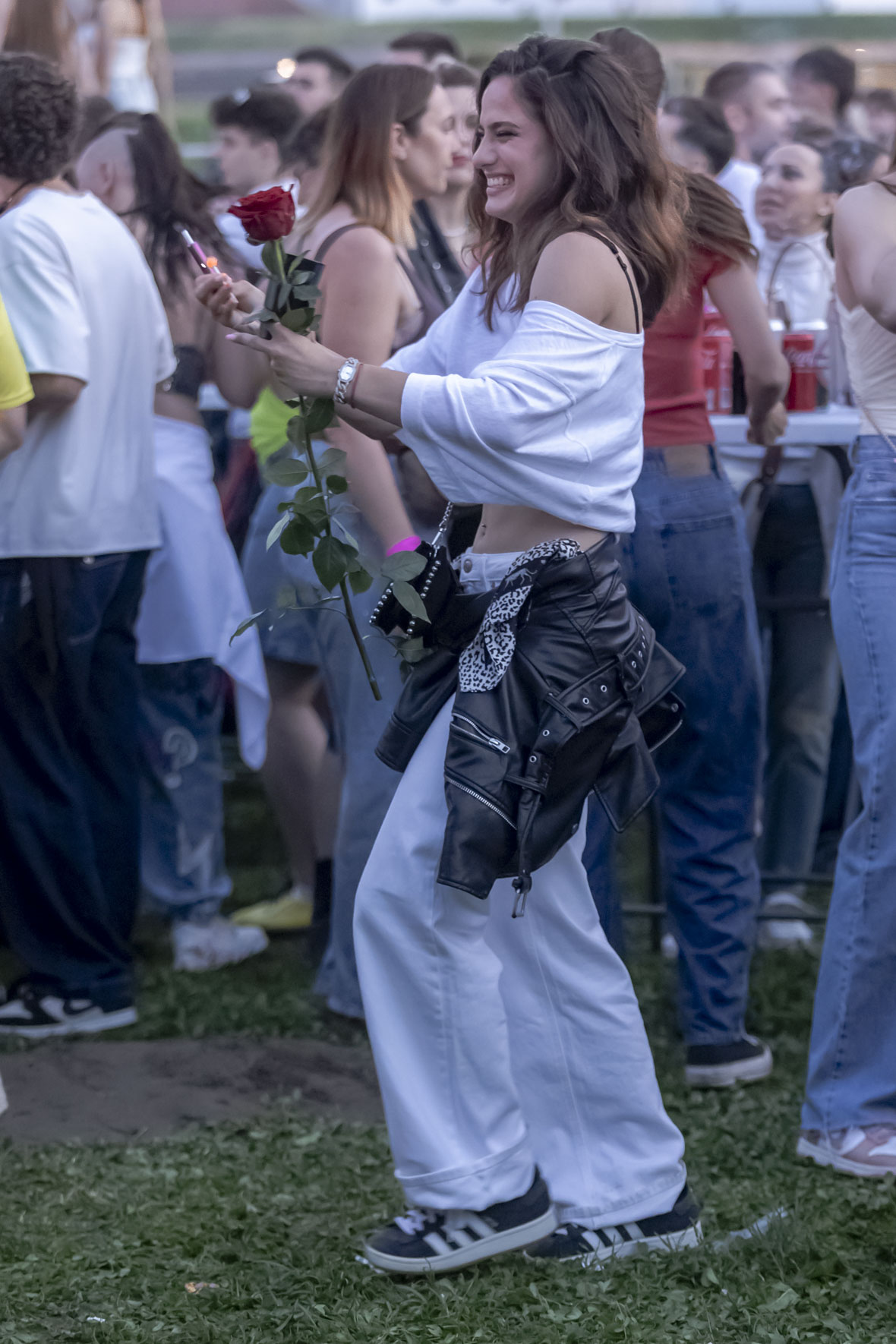 Lollipop_06_06_2026