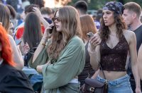 Lollipop_06_06_2026