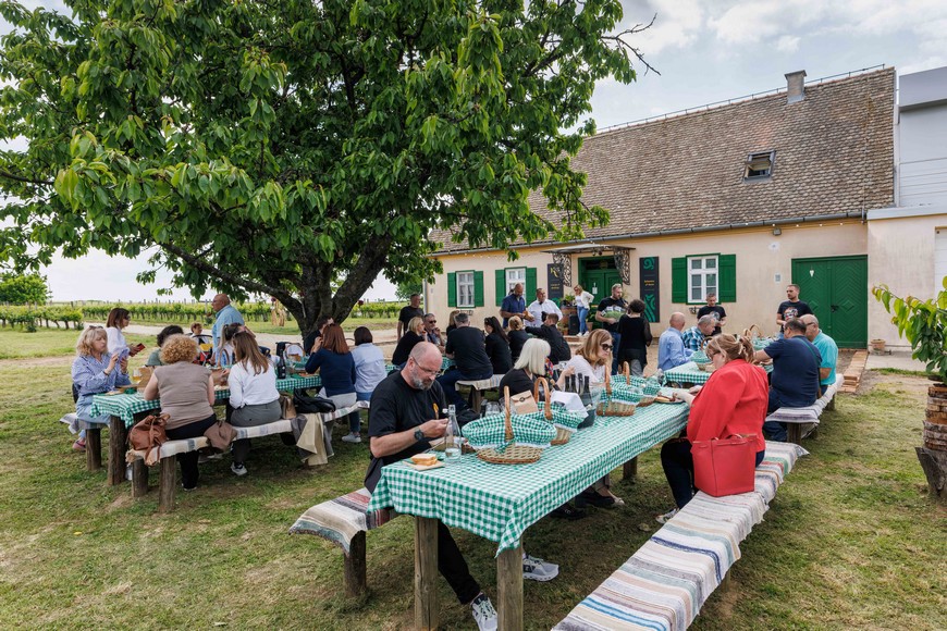 Mario Đurkić, Horizont Solutions (156) Mario Đurkić, Horizont Solutions (156)