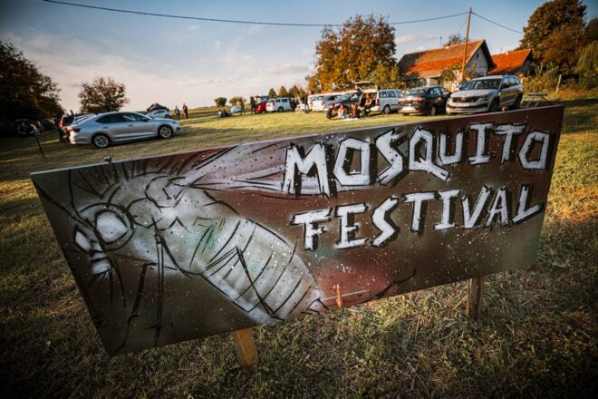 Mosquito Punk Rock Festival (1) Mosquito Punk Rock Festival (1)