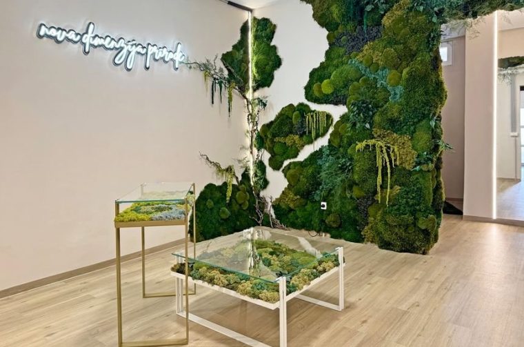 Naslovna fotka Naslovna fotka