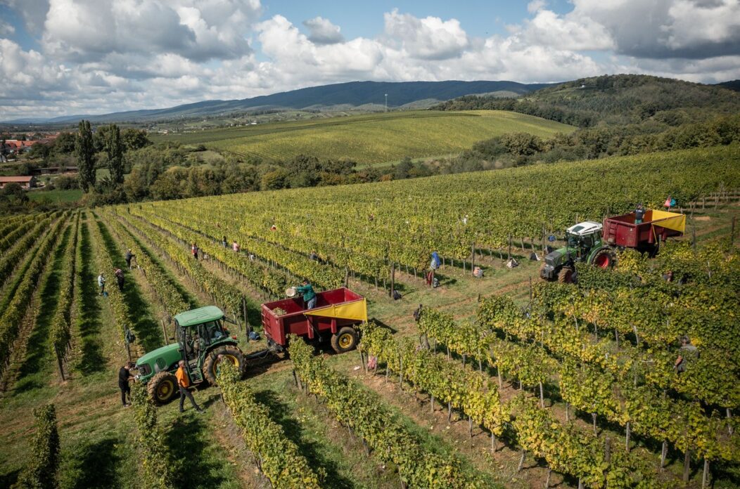 Naslovna – fotografija (1)