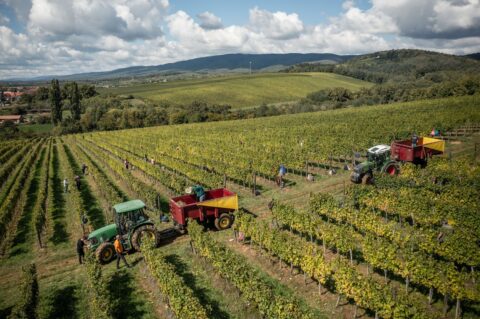 Naslovna – fotografija (1) Naslovna – fotografija (1)