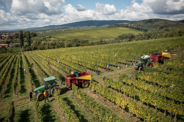 Naslovna – fotografija (1)