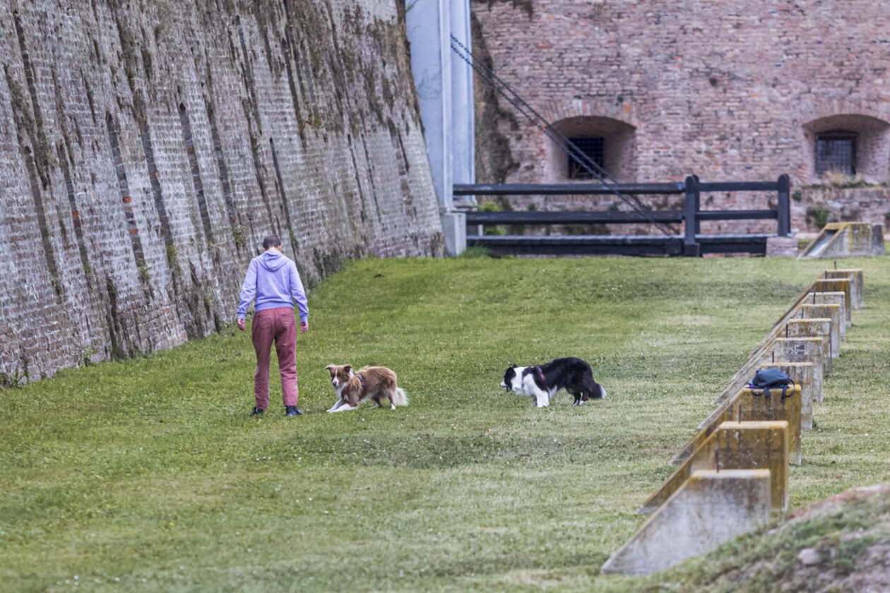 Nedjeljna šetnja promenadom 28.09.2025.