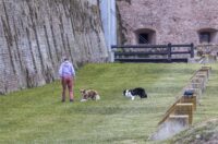 Nedjeljna šetnja promenadom 28.09.2025.