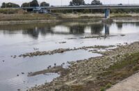 Nedjeljna šetnja promenadom 28.09.2025.