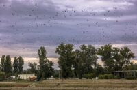 Nedjeljna šetnja promenadom 28.09.2025.