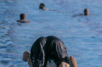 Kupanje Kopika 10.8.2025.