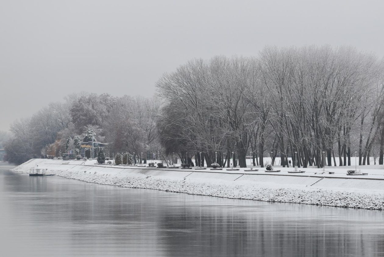 PXL_030126_144167758 PXL_030126_144167758