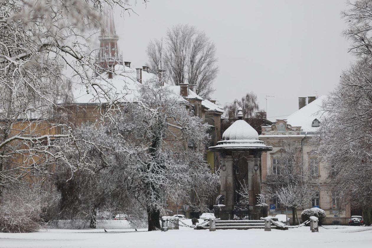 PXL_030126_144167759 PXL_030126_144167759