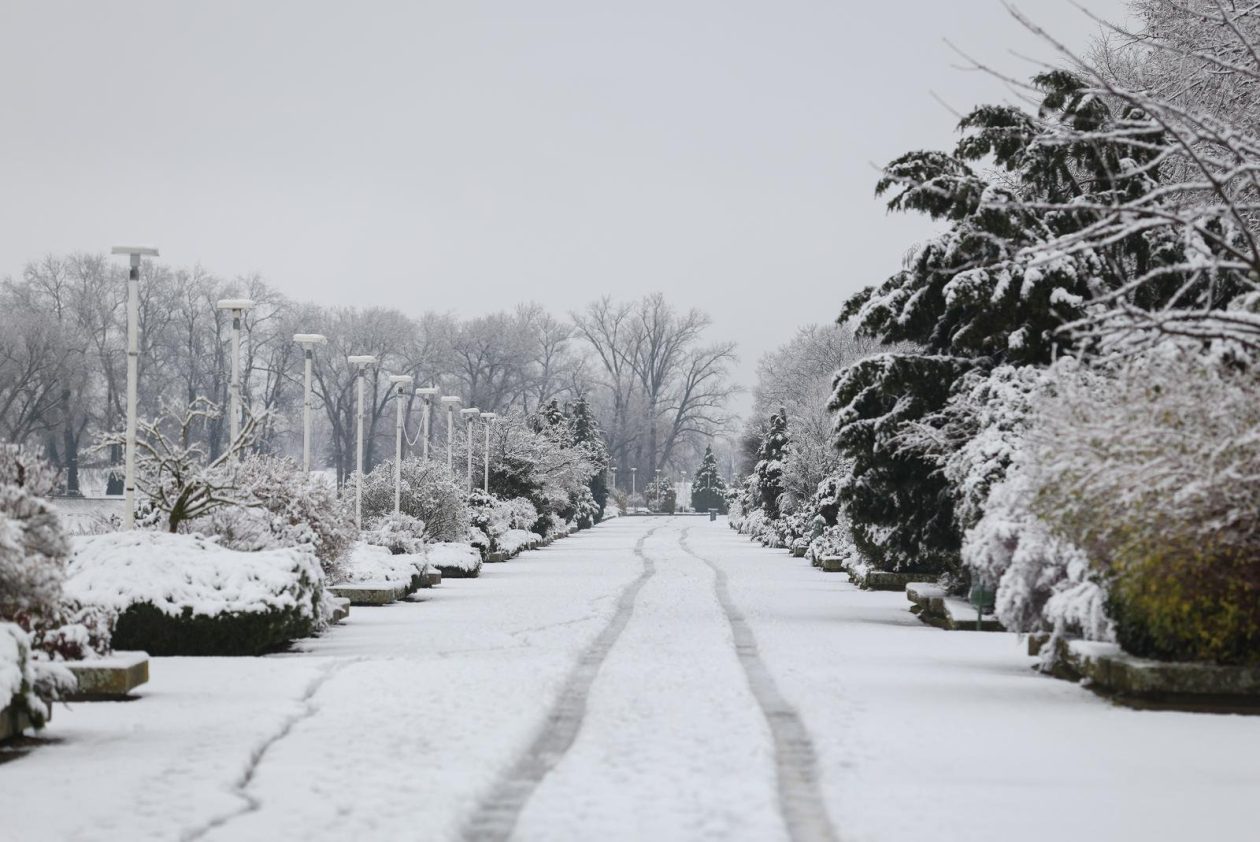 snijeg promenada zima snijeg promenada zima