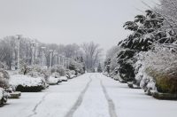 snijeg promenada zima snijeg promenada zima