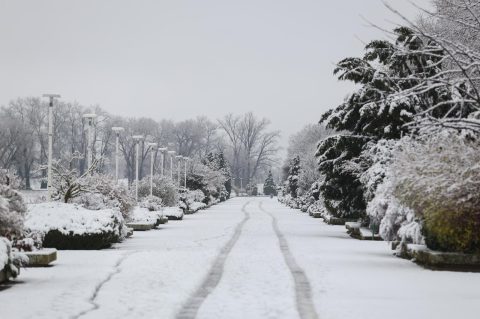 snijeg promenada zima