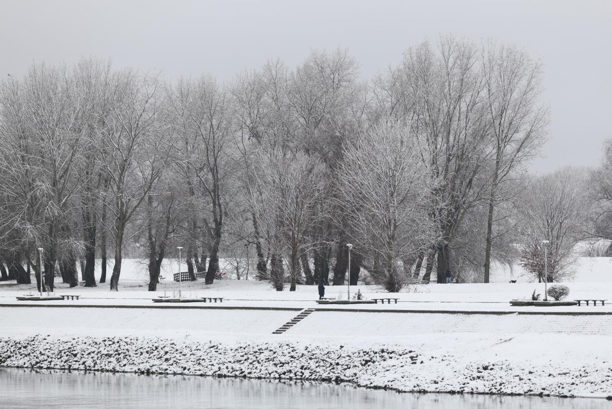 PXL_030126_144167766 PXL_030126_144167766