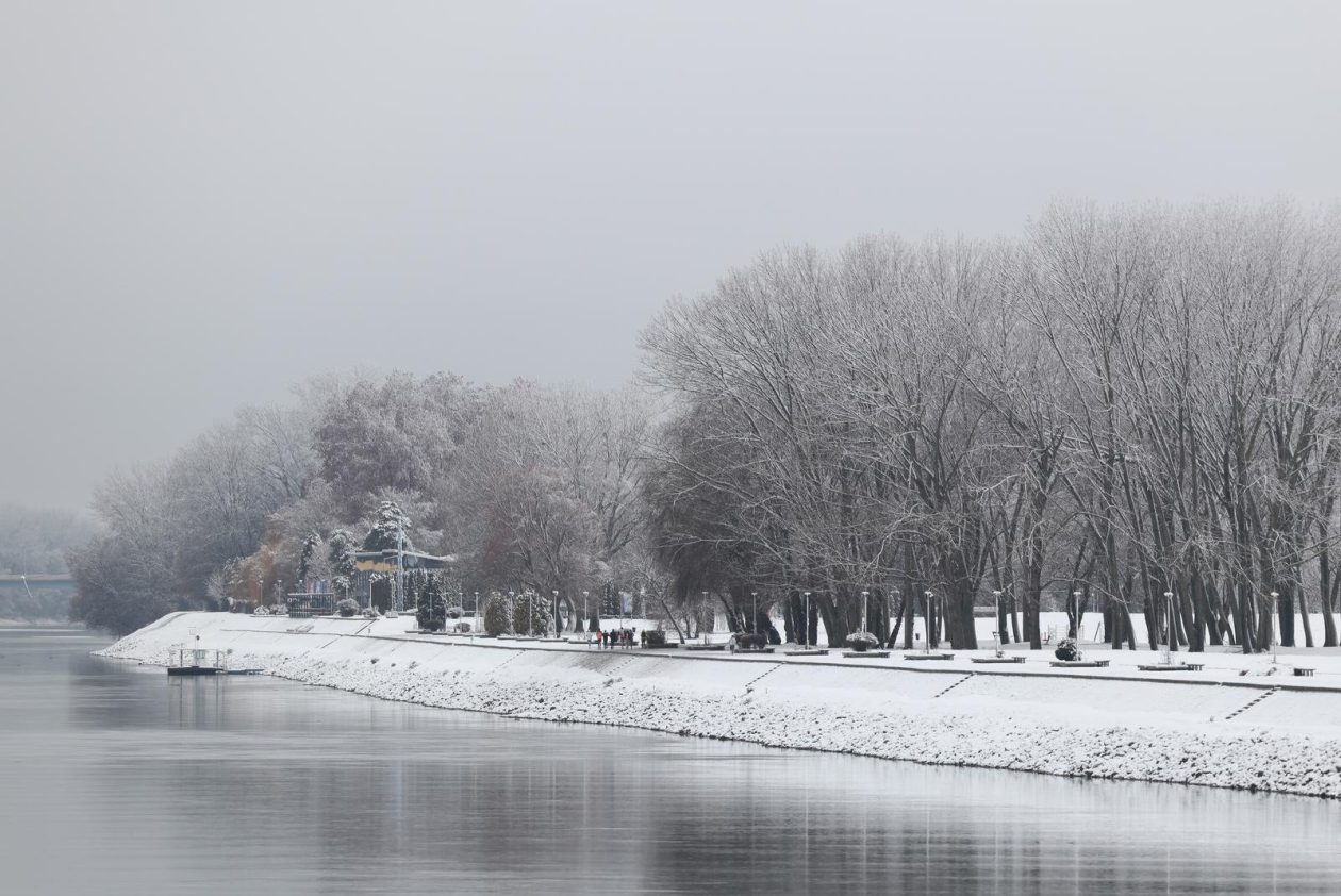 PXL_030126_144167767 PXL_030126_144167767