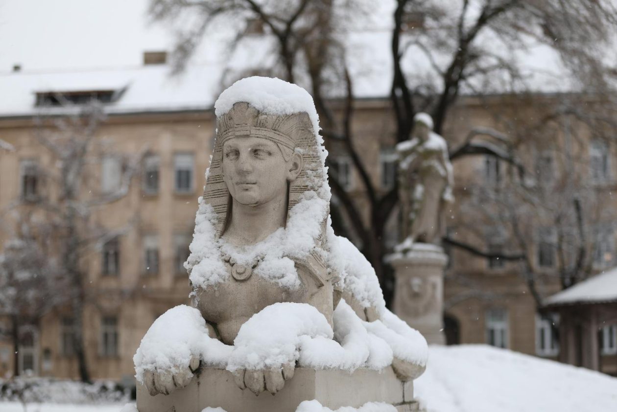 PXL_030126_144167770 PXL_030126_144167770