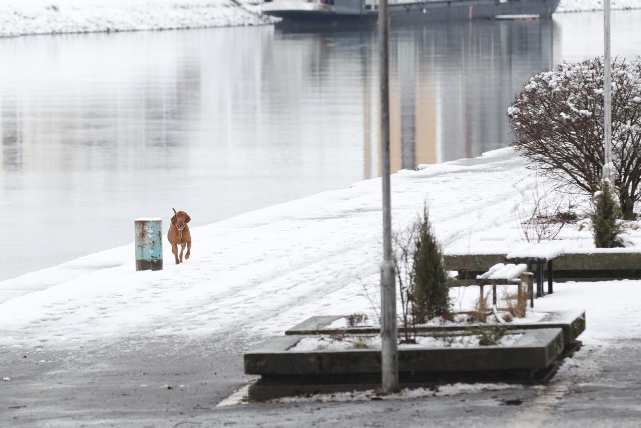 PXL_030126_144167782 PXL_030126_144167782