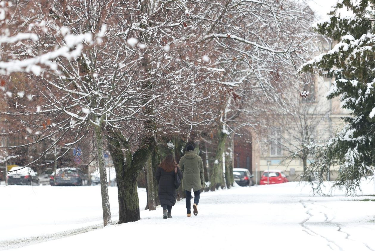 PXL_030126_144167789 PXL_030126_144167789