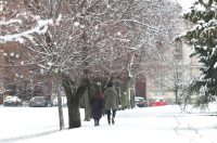 PXL_030126_144167789 PXL_030126_144167789